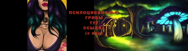 первитин Гусиноозёрск